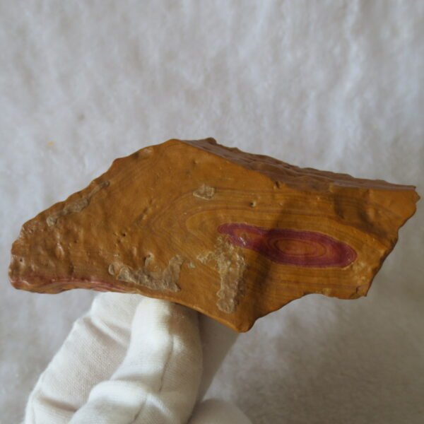 natural banded gobi agate raw desert mudstone mineral (j34)