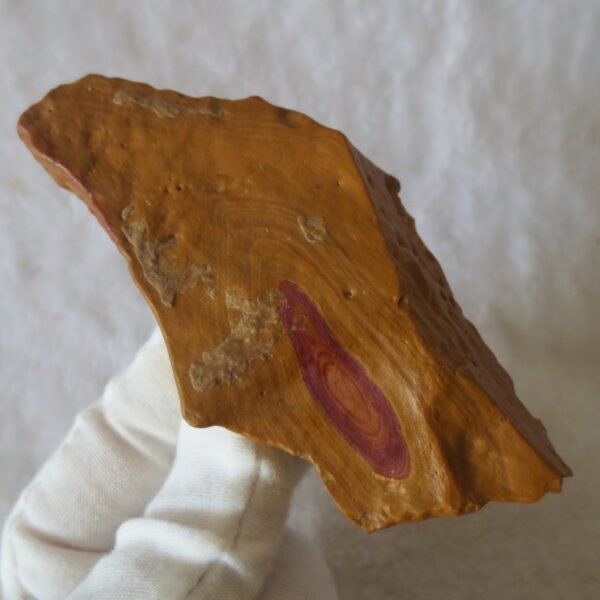 natural banded gobi agate raw desert mudstone mineral (j34)