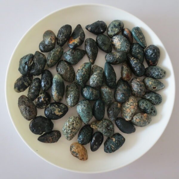 gobi desert raw rough stones natural gemstone specimen for collectors (p47)