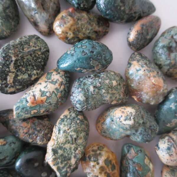 gobi desert raw rough stones natural gemstone specimen for collectors (p47)