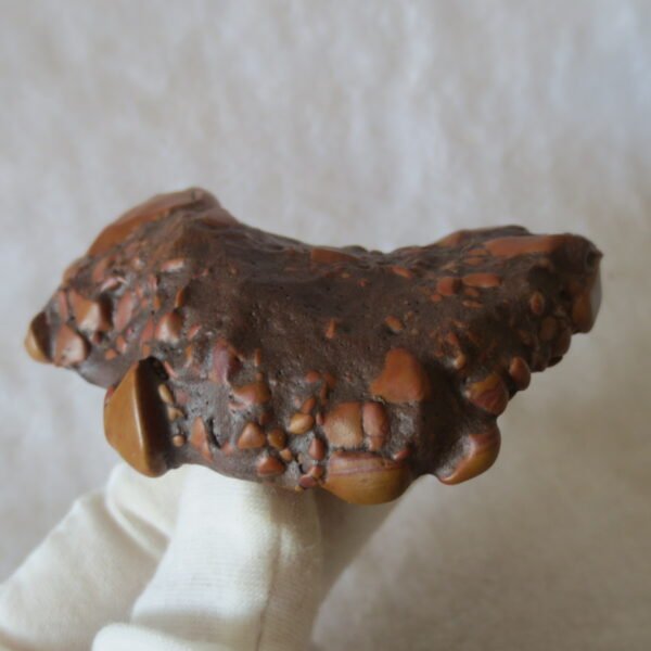 natural banded gobi agate raw desert mudstone mineral (j34) (copy)
