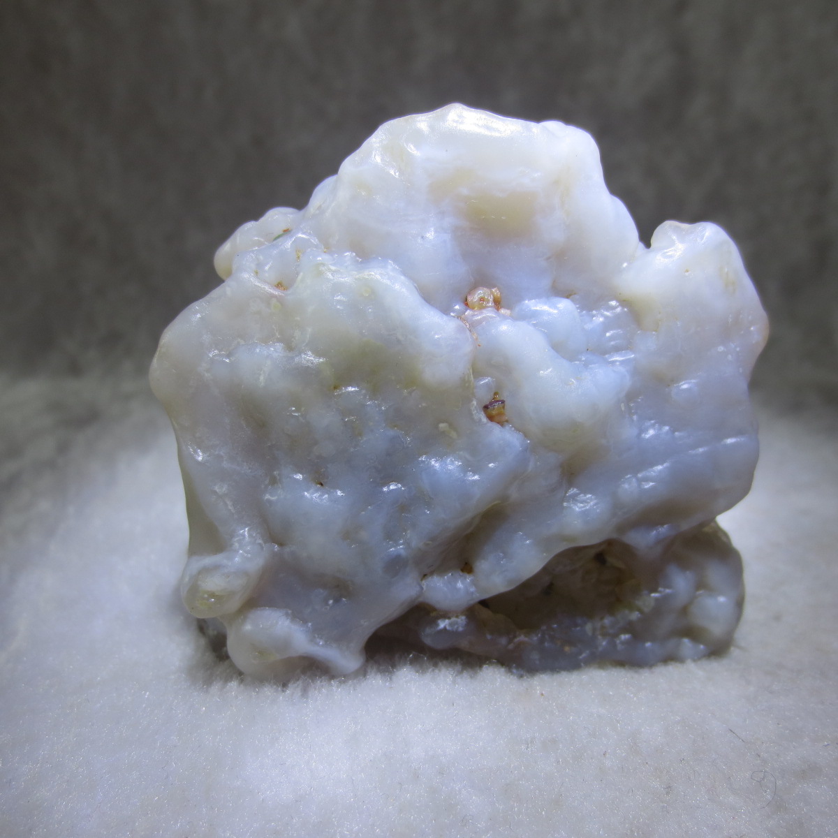 natural flower gobi agate raw desert rock mineral specimen (h40)
