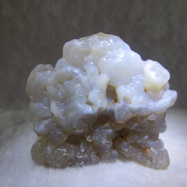 natural flower gobi agate raw desert rock mineral specimen (h40)