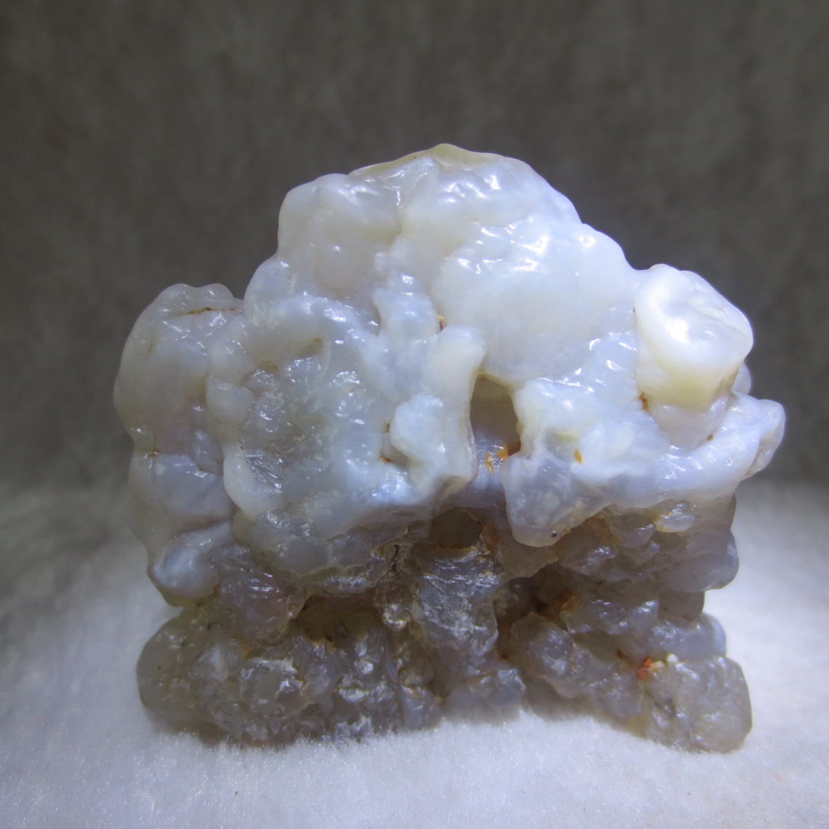 natural flower gobi agate raw desert rock mineral specimen (h40)