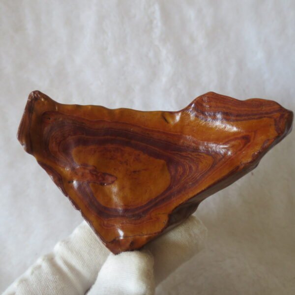 natural banded gobi agate raw desert mudstone mineral (j47)