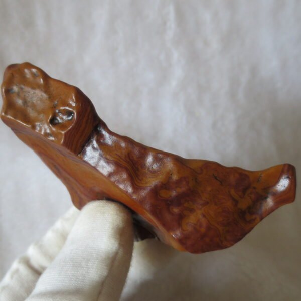 natural banded gobi agate raw desert mudstone mineral (j47)
