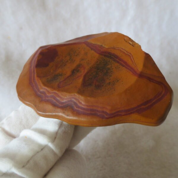 natural banded gobi agate raw desert mudstone mineral (j50)