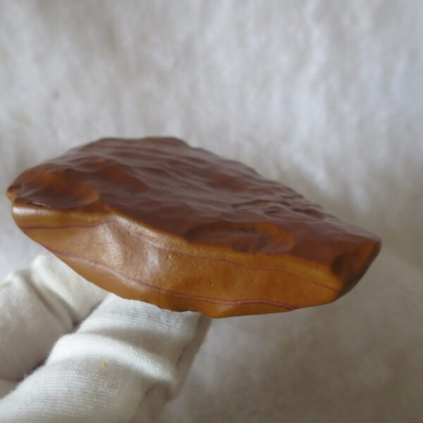 natural banded gobi agate raw desert mudstone mineral (j50)