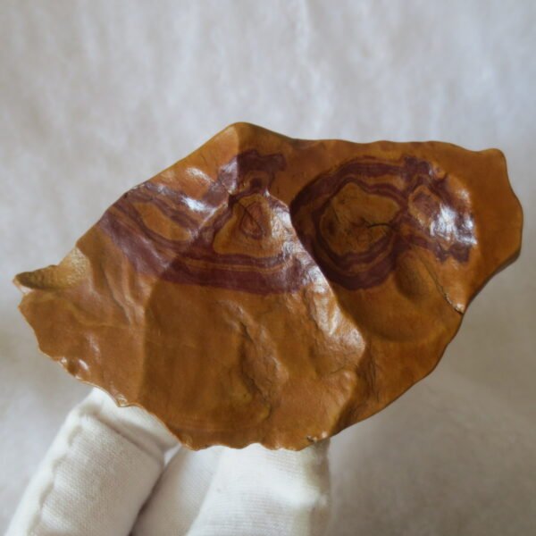 natural banded gobi agate raw desert mudstone mineral (j51)