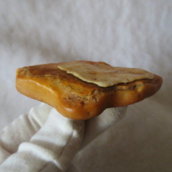 natural banded gobi agate raw desert mudstone mineral (j55)