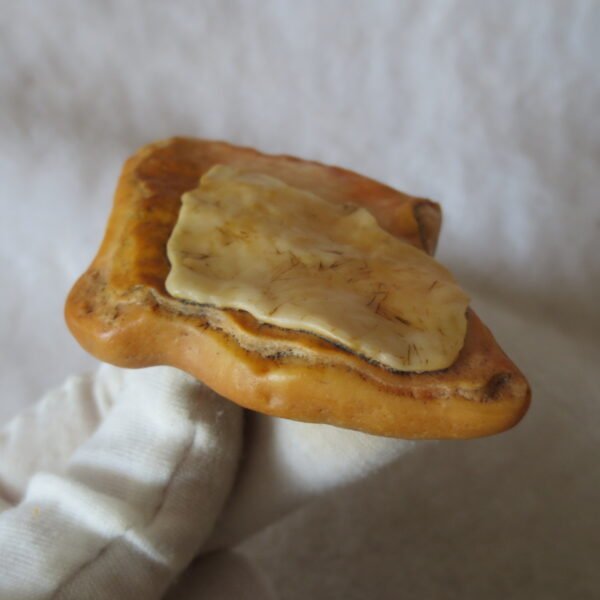 natural banded gobi agate raw desert mudstone mineral (j55)
