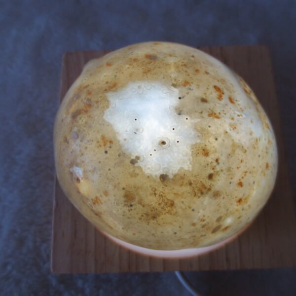 natural quartz flower gobi stone raw desert rock home decor. (g41)