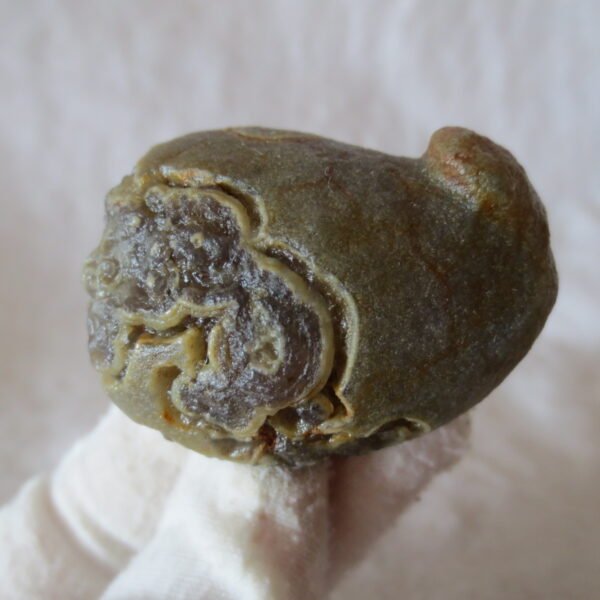 natural thumb eye gobi agate desert raw stone mineral (f118)