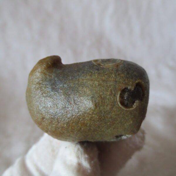 natural thumb eye gobi agate desert raw stone mineral (f118)