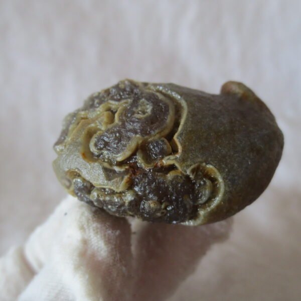 natural thumb eye gobi agate desert raw stone mineral (f118)