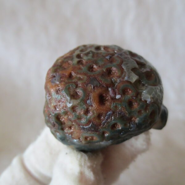 natural thumb eye gobi agate desert raw stone mineral (m122) (copy)