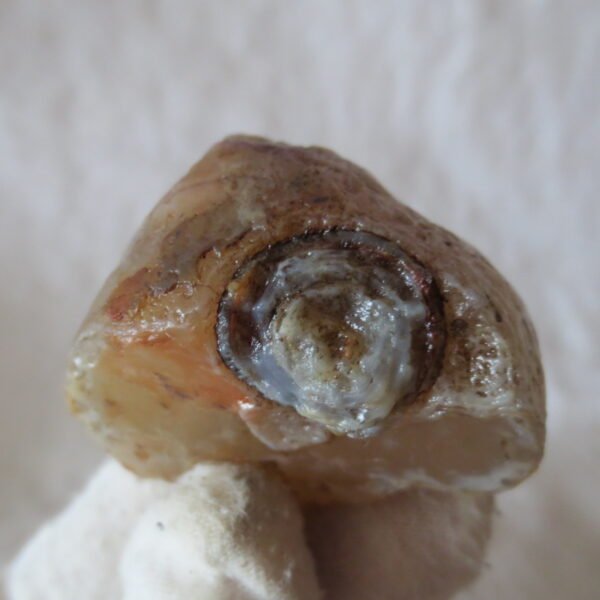 natural thumb eye gobi agate desert raw stone mineral (m124)