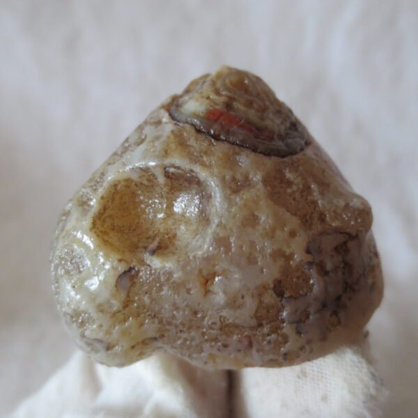 natural thumb eye gobi agate desert raw stone mineral (m124)