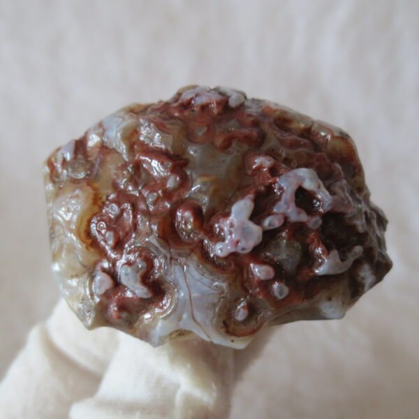 natural thumb eye gobi agate desert raw stone mineral (m126)