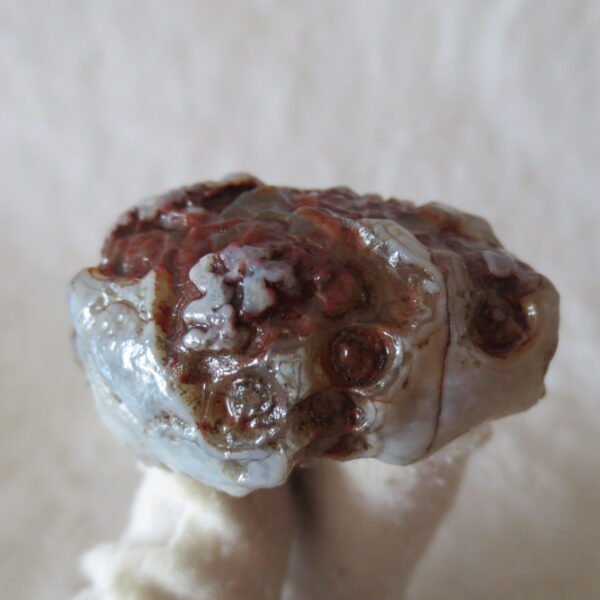 natural thumb eye gobi agate desert raw stone mineral (m126)