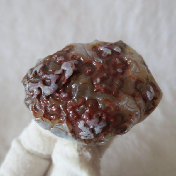 natural thumb eye gobi agate desert raw stone mineral (m126)
