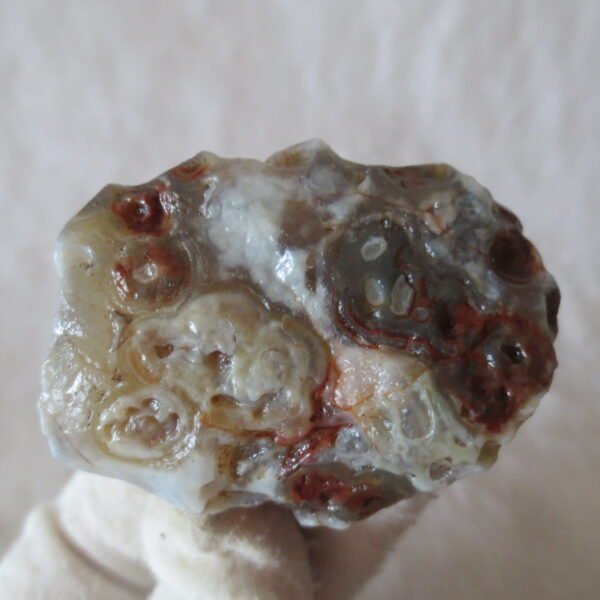 natural thumb eye gobi agate desert raw stone mineral (m126)
