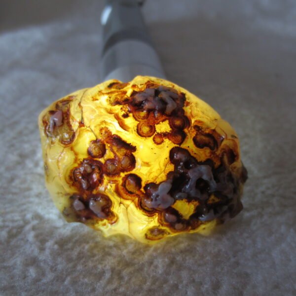 natural thumb eye gobi agate desert raw stone mineral (m126)