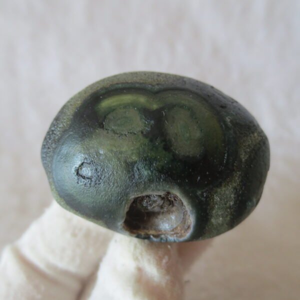 natural thumb eye gobi agate desert raw stone mineral (m120)