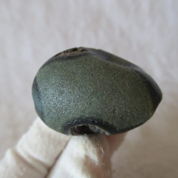 natural thumb eye gobi agate desert raw stone mineral (m120)
