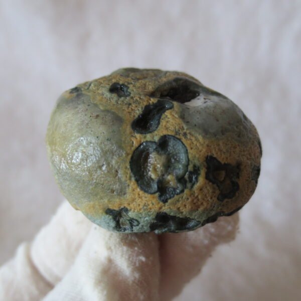 natural thumb eye gobi agate desert raw stone mineral (m127)