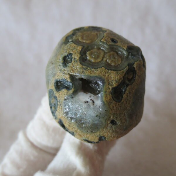 natural thumb eye gobi agate desert raw stone mineral (m127)