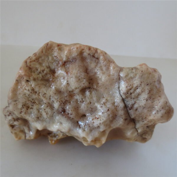 natural quartz flower gobi stone raw desert rock home decor. (g25)