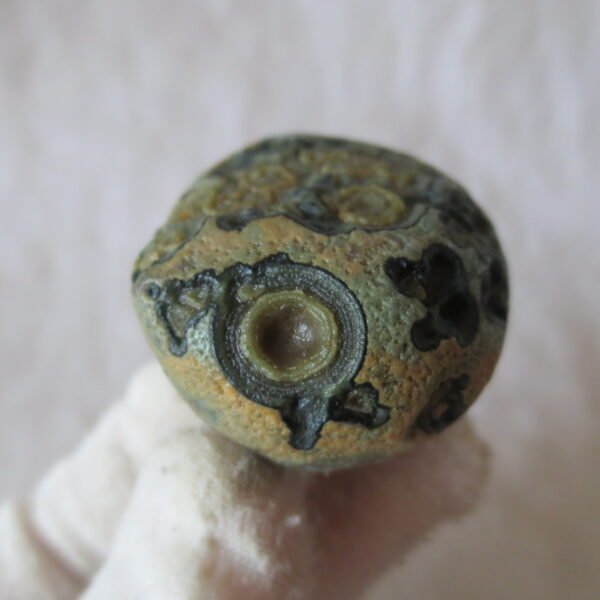 natural thumb eye gobi agate desert raw stone mineral (m127)