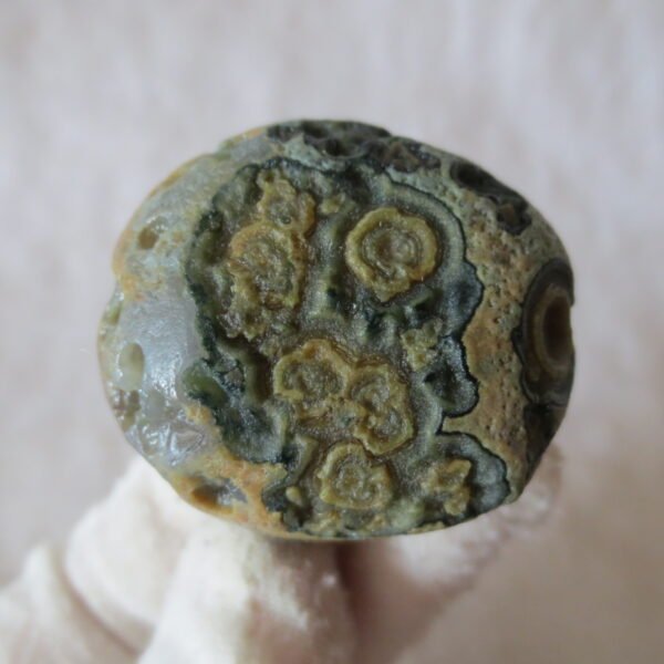 natural thumb eye gobi agate desert raw stone mineral (m127)