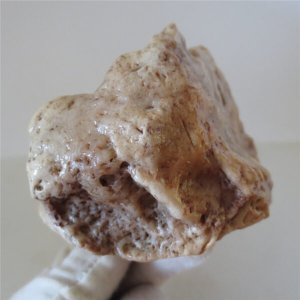 natural quartz flower gobi stone raw desert rock home decor. (g25)
