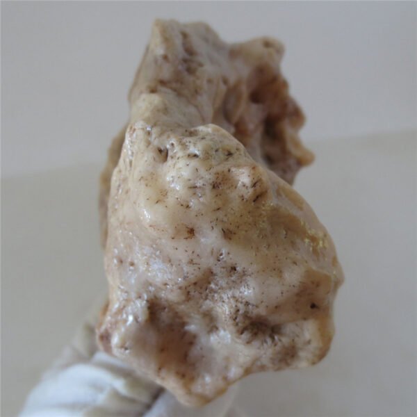 natural quartz flower gobi stone raw desert rock home decor. (g25)