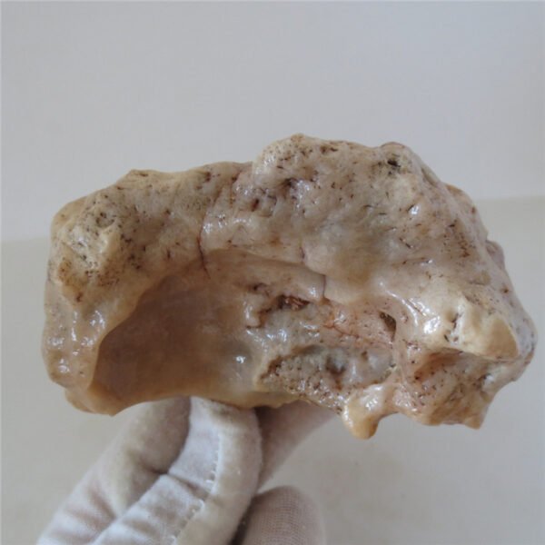 natural quartz flower gobi stone raw desert rock home decor. (g25)