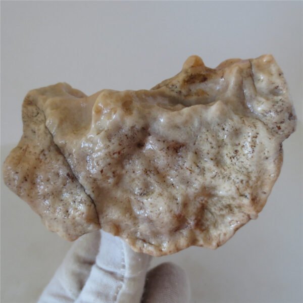 natural quartz flower gobi stone raw desert rock home decor. (g25)