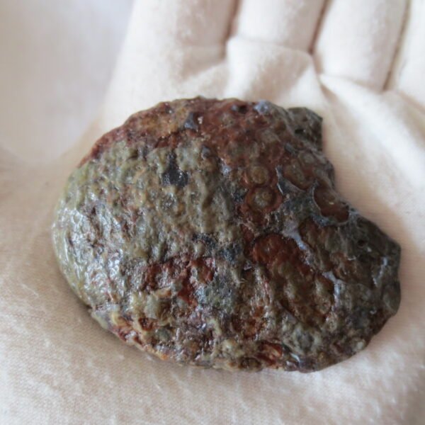 natural thumb eye gobi agate desert raw stone mineral (m128)