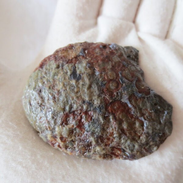 natural thumb eye gobi agate desert raw stone mineral (m128)