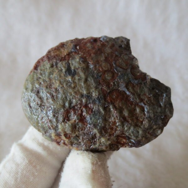 natural thumb eye gobi agate desert raw stone mineral (m128)