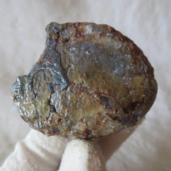natural thumb eye gobi agate desert raw stone mineral (m128)