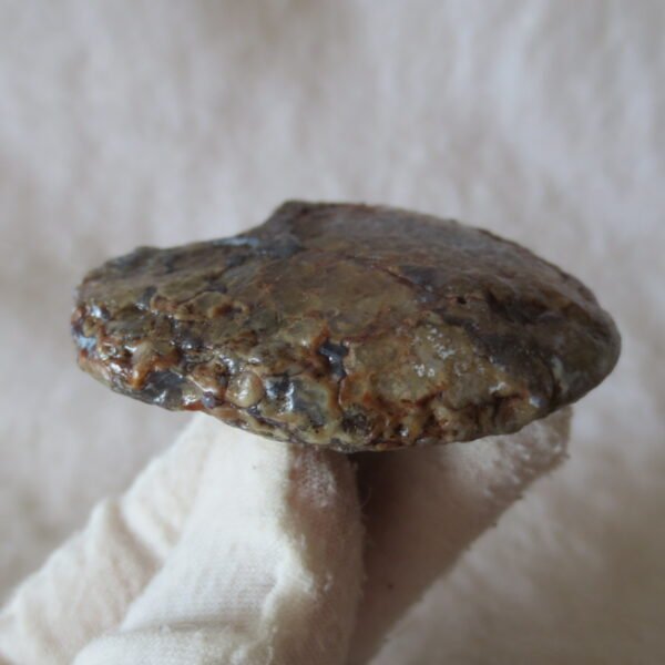 natural thumb eye gobi agate desert raw stone mineral (m128)