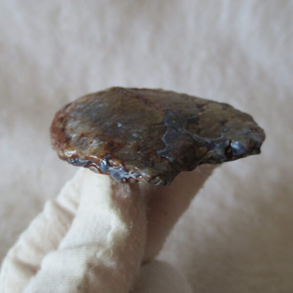 natural thumb eye gobi agate desert raw stone mineral (m128)