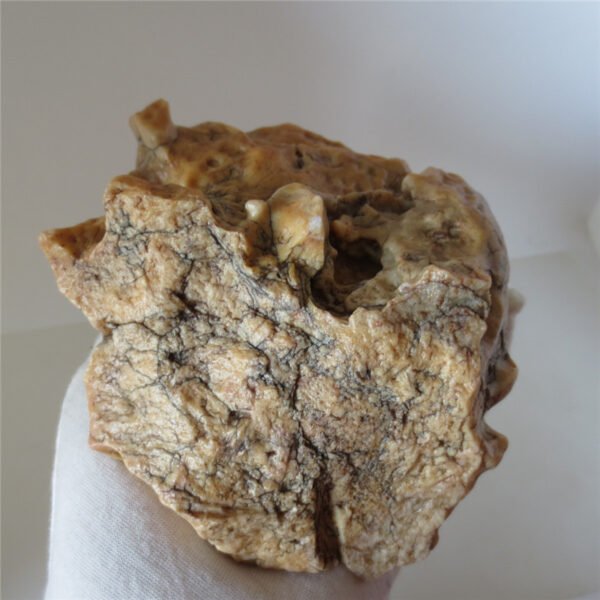 natural quartz gobi stone raw desert rock home decor. (g06)