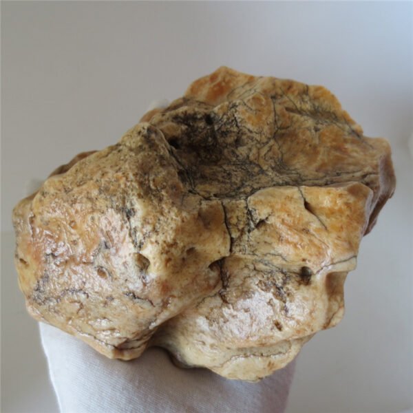 natural quartz gobi stone raw desert rock home decor. (g06)