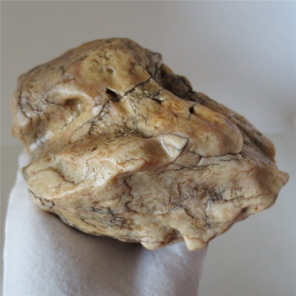 natural quartz gobi stone raw desert rock home decor. (g06)