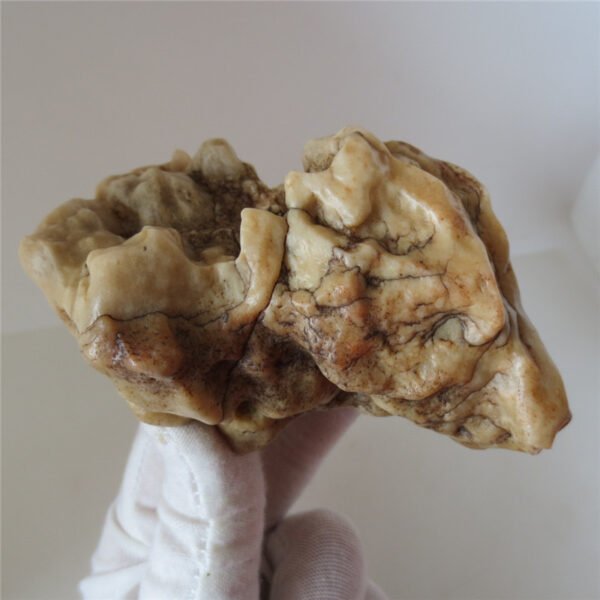 natural quartz flower gobi stone raw desert rock home decor. (g38)