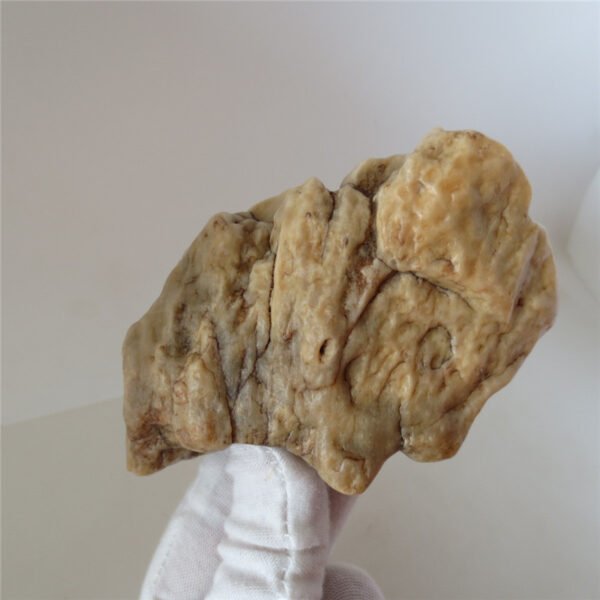 natural quartz flower gobi stone raw desert rock home decor. (g38)