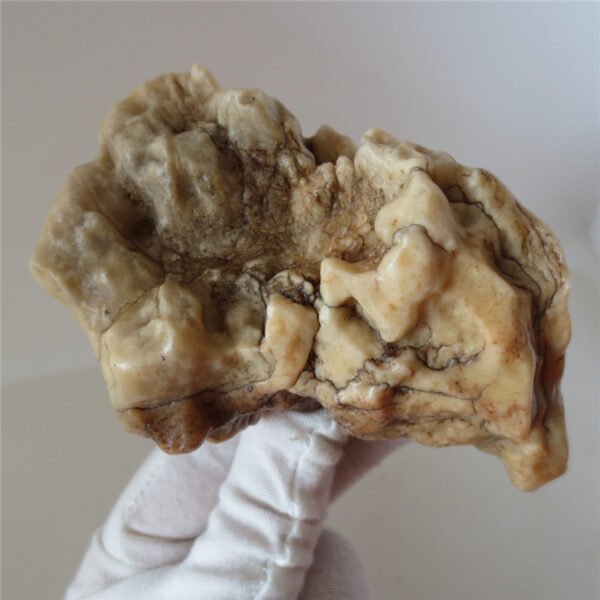 natural quartz flower gobi stone raw desert rock home decor. (g38)